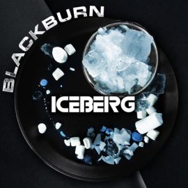 Iceberg